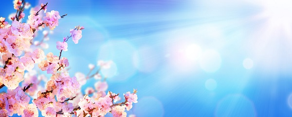 戰(zhàn)疫情，北京韋林公司全體員工齊心協(xié)力共克時艱！